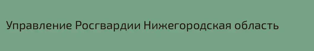 Управление Росгвардии Нижегородская область